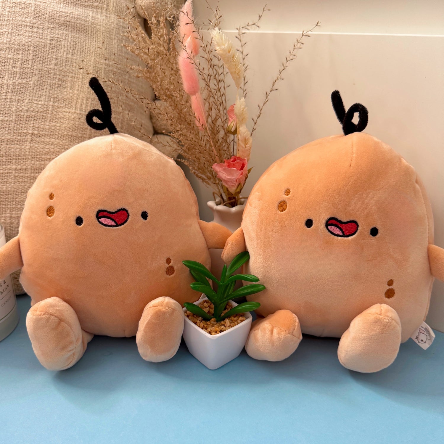Two potato plush toys on blue table