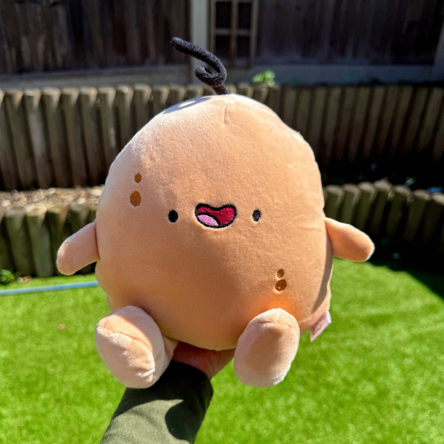 Potato plush toy sat on a hand in the garden