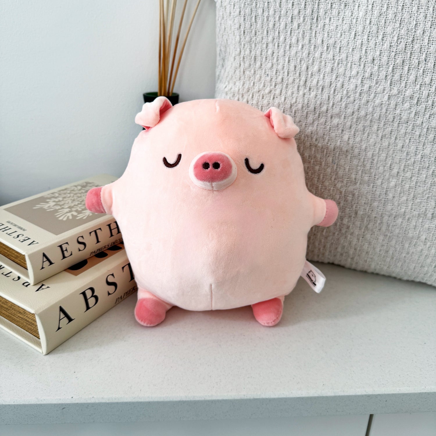 Pig plush on white table with cushion and books