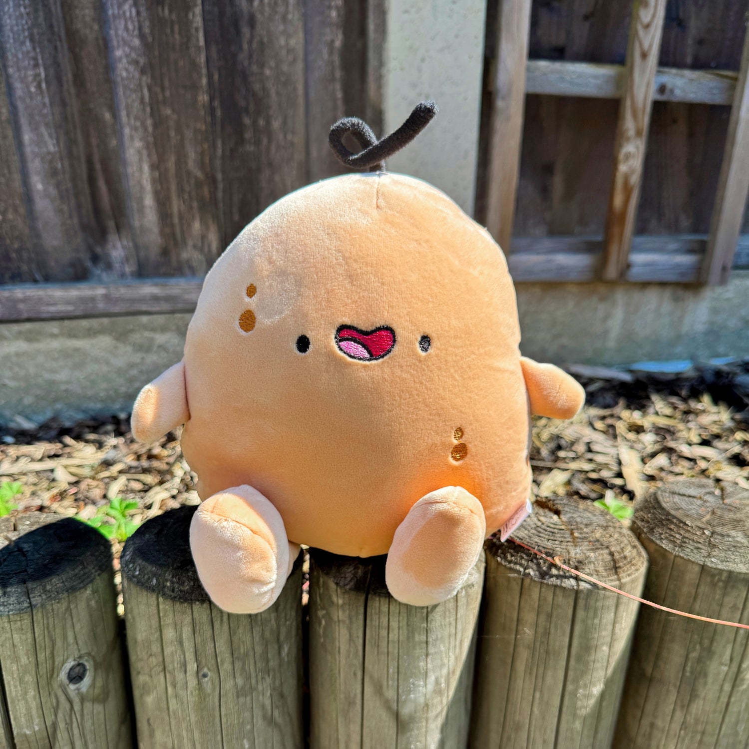 Potato plush sat on a fence